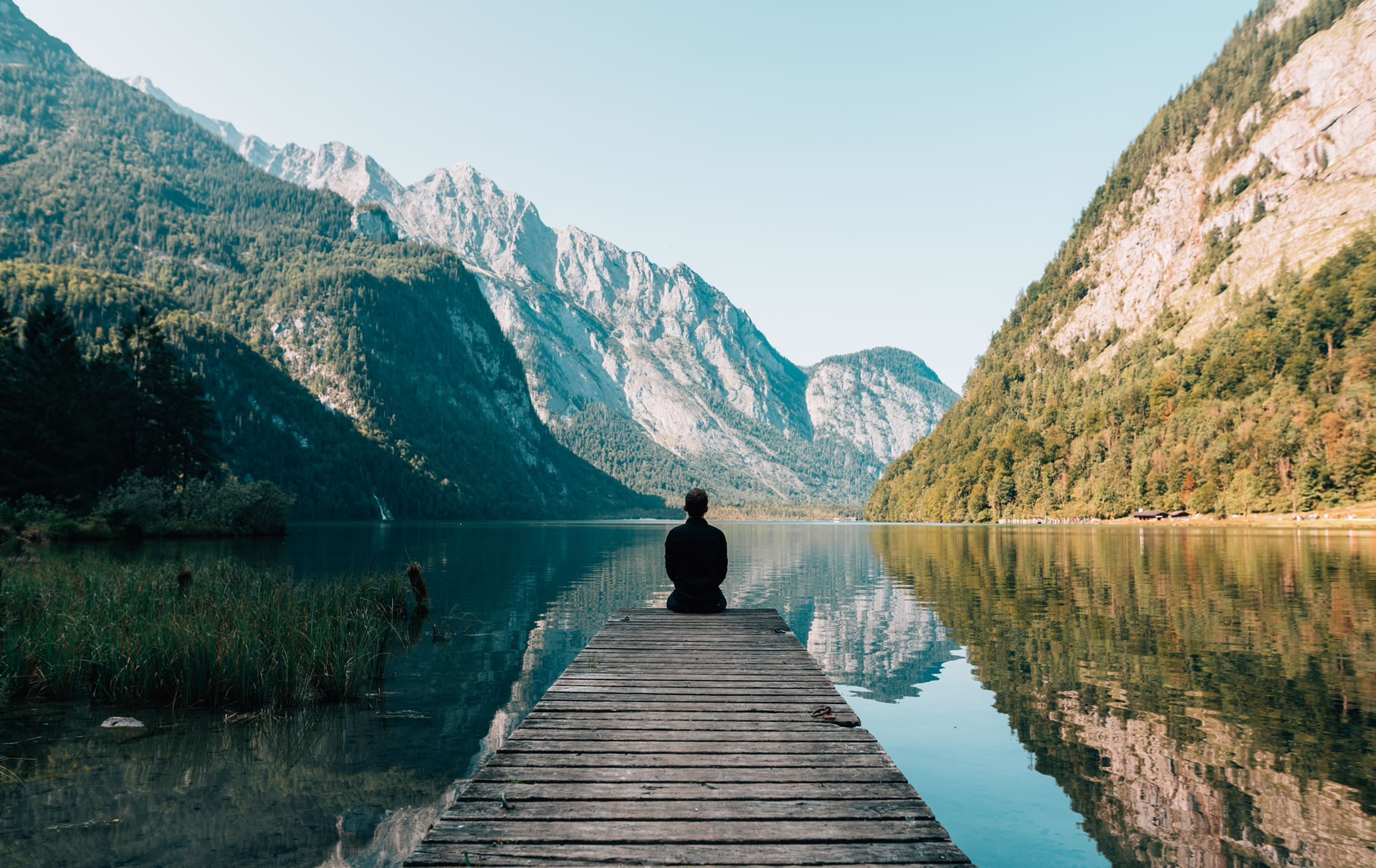 realm of positivity wellness